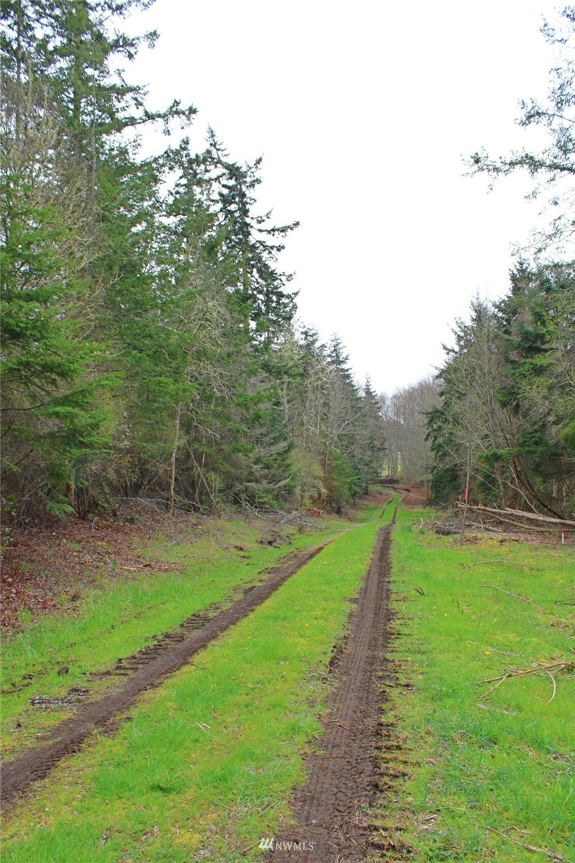 Property Photo:  0 Hastie Lake Road  WA 98277 