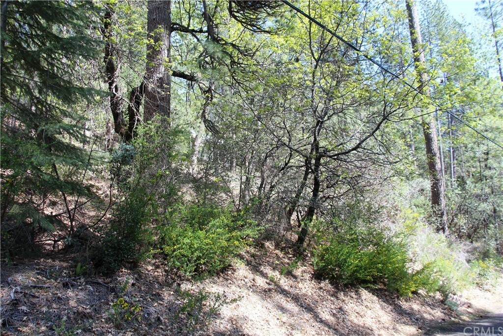 Property Photo: 12470 Maple Lane CA 95461
