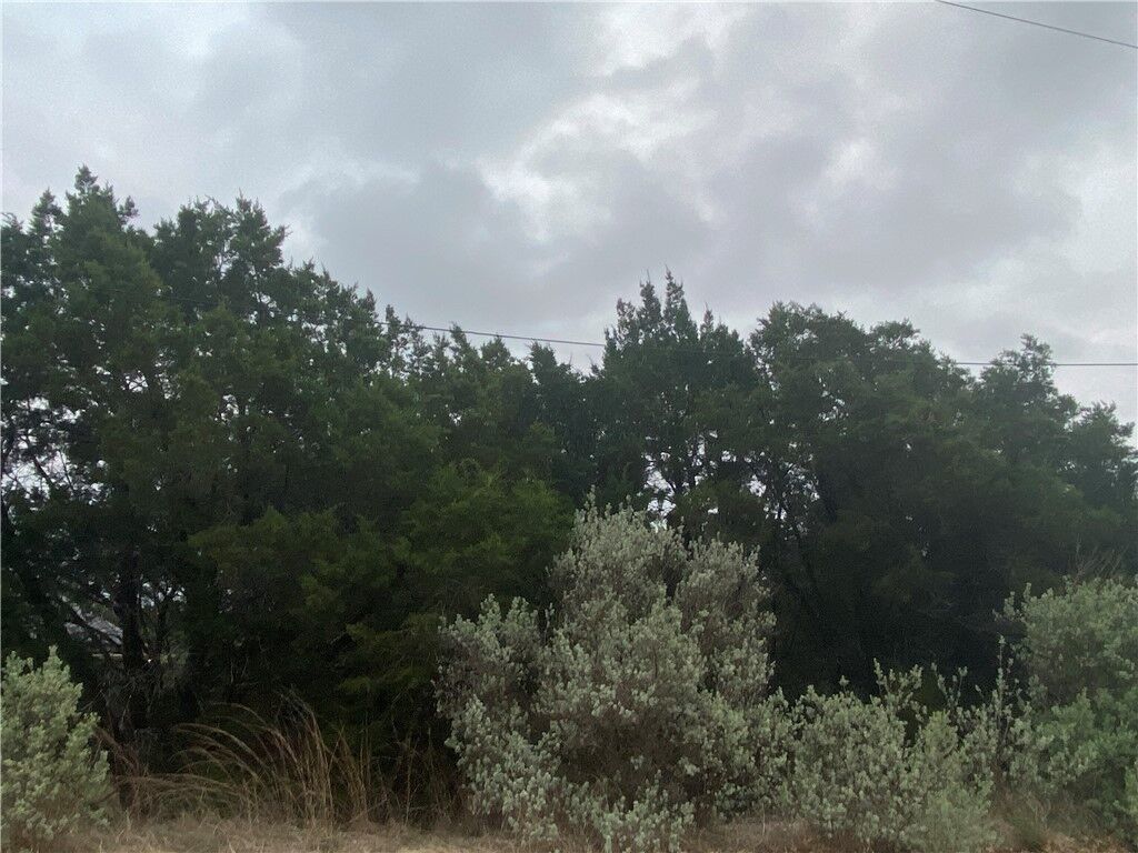 Property Photo: 4509 Silverhill Drive TX 78645