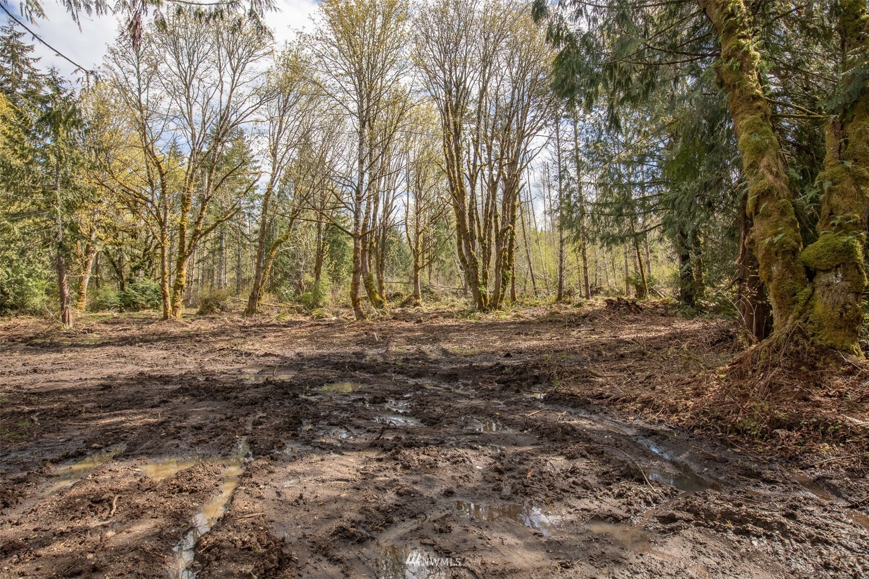 Property Photo: 9999 Lot 8 Lawrence Pointe Road WA 98363