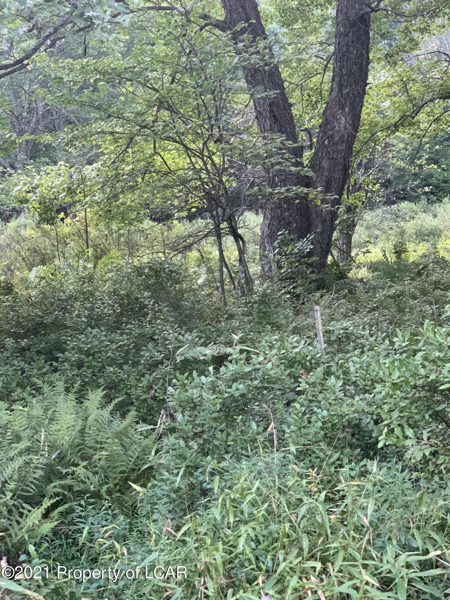 Property Photo: Rear Blakeslee Lane PA 18661