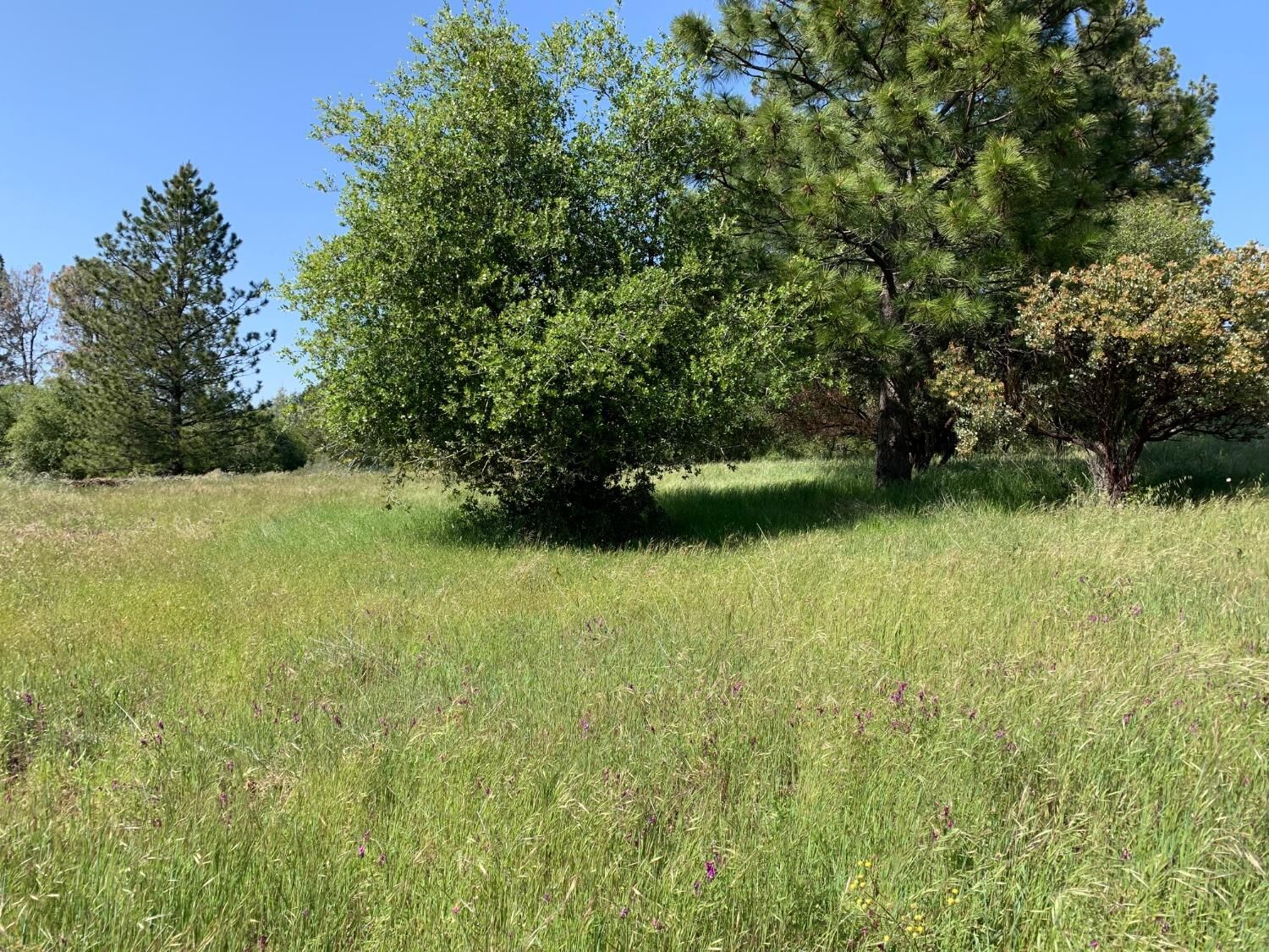 Property Photo: 5181 D Agostini Drive CA 95684