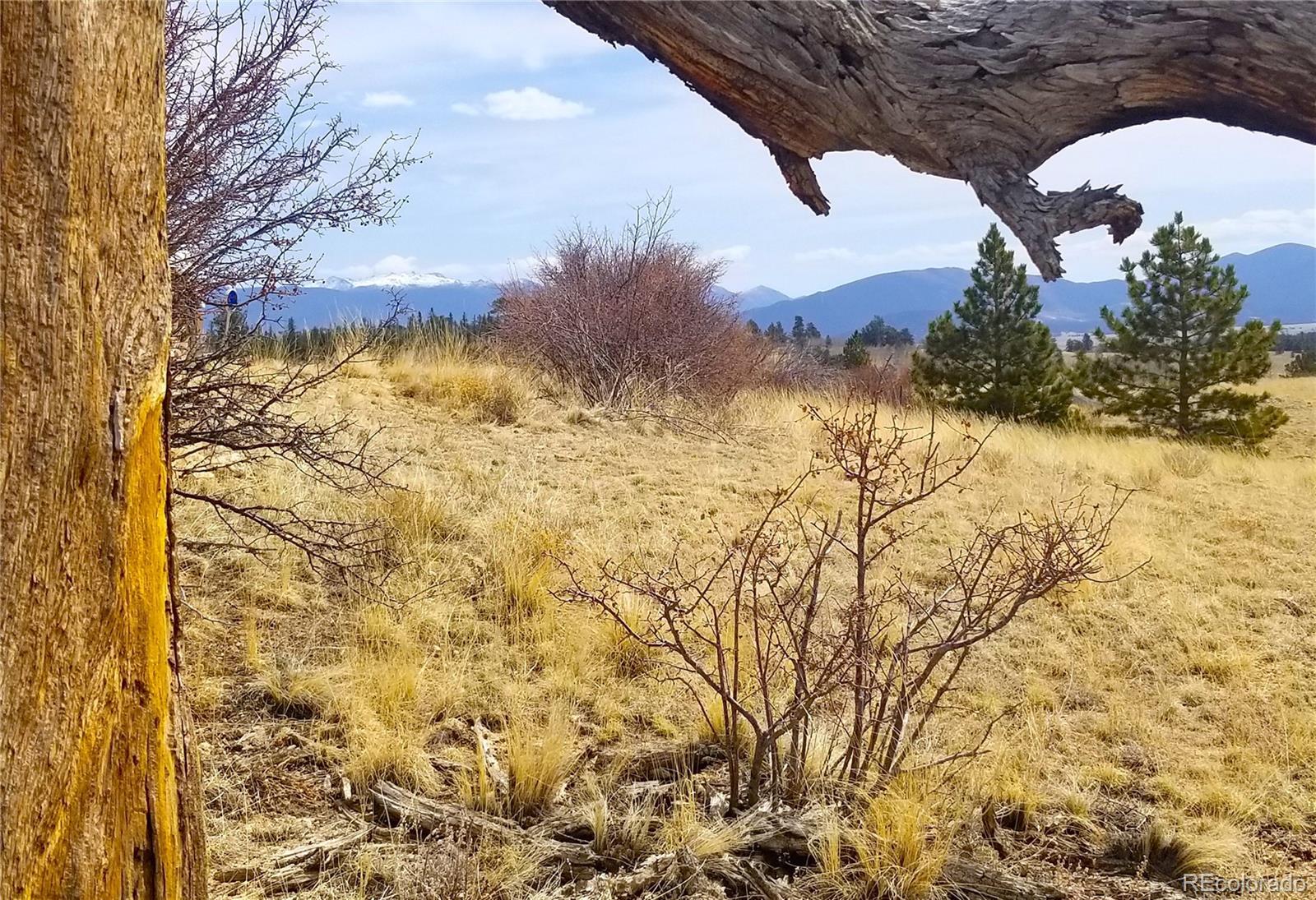 Property Photo: 180 Remington Road CO 80432