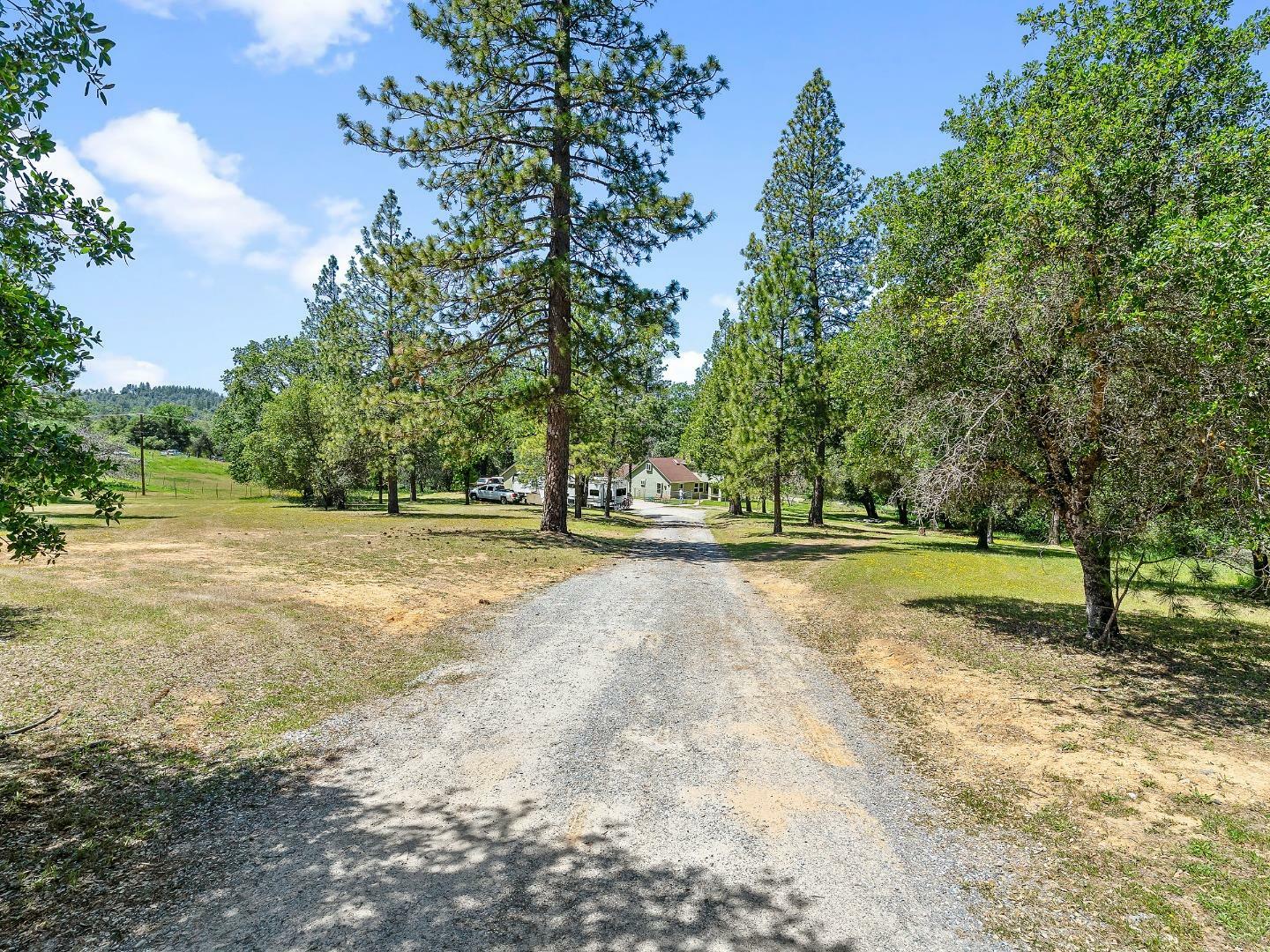 Property Photo:  3640 Coon Hollow Road  CA 95667 