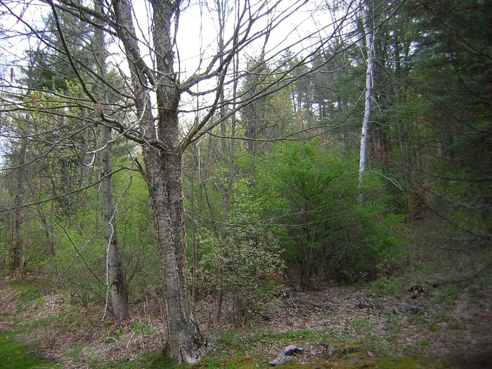 Property Photo: 0 Foxfire Lane 34 VT 05672