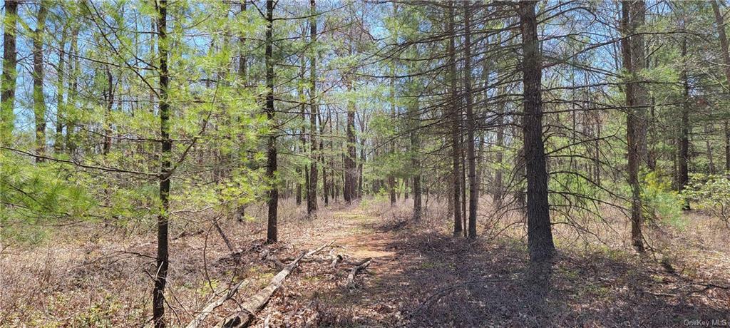 Property Photo:  Lot 3 Crystal Lake Road  NY 12720 