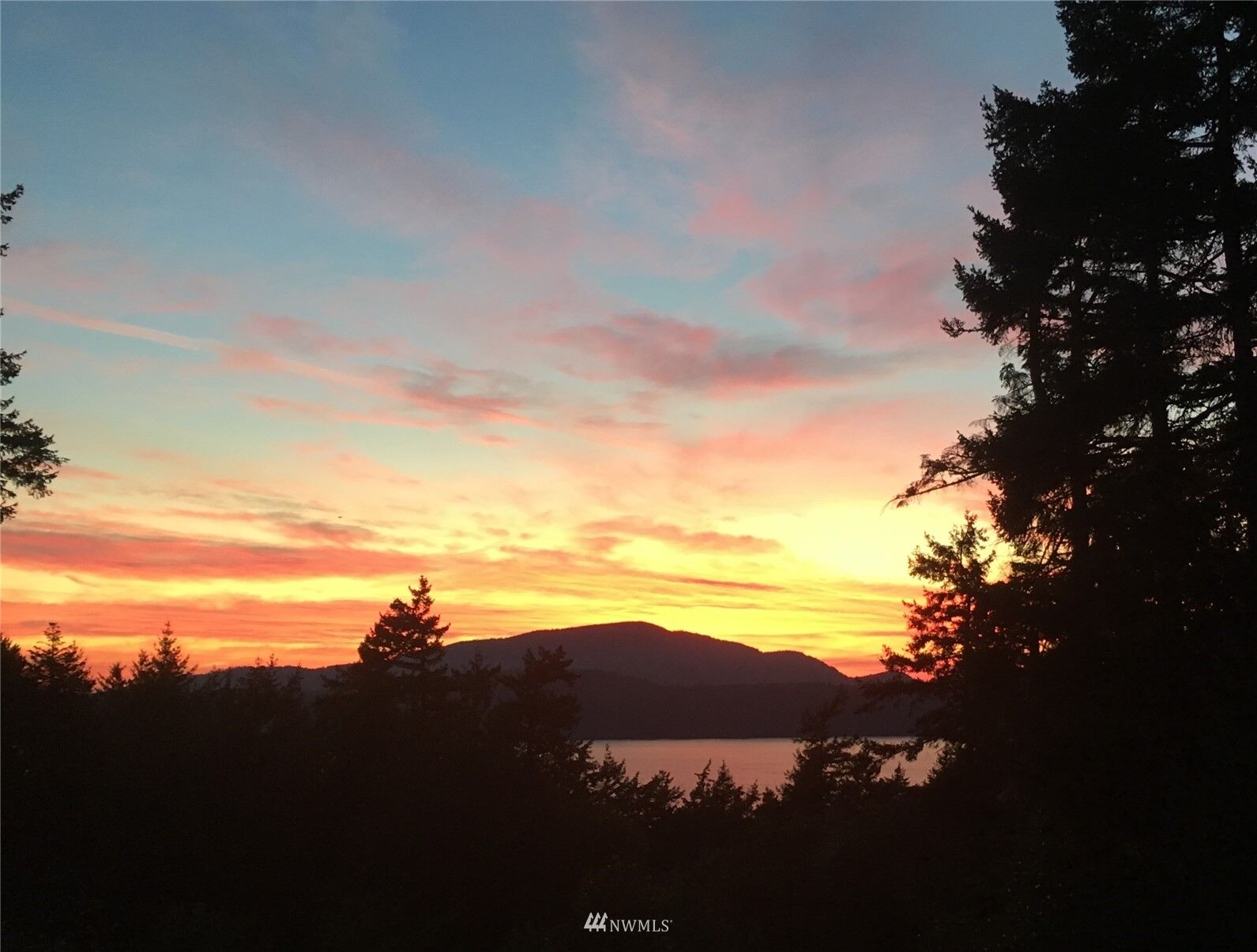 Property Photo:  227  Bromley Drive  WA 98245 