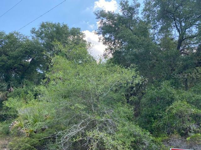 Property Photo: Gailbreath Lot 18 Road FL 34291