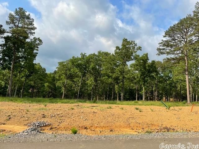 Orchard Hills Lot 12 Ph 3  Conway AR 72034 photo