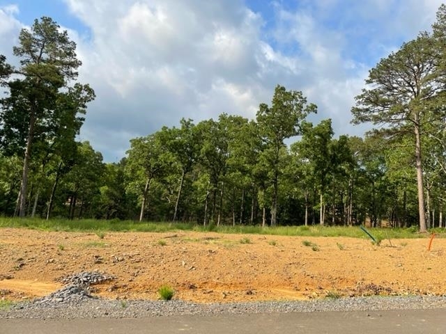 Property Photo:  Orchard Hills Lot 12 Ph 3  AR 72034 