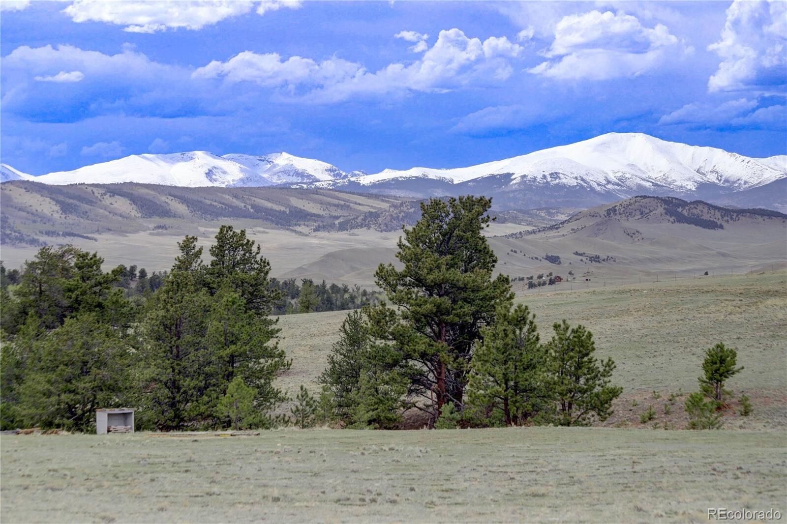 Property Photo:  157 Homestead Road  CO 80432 