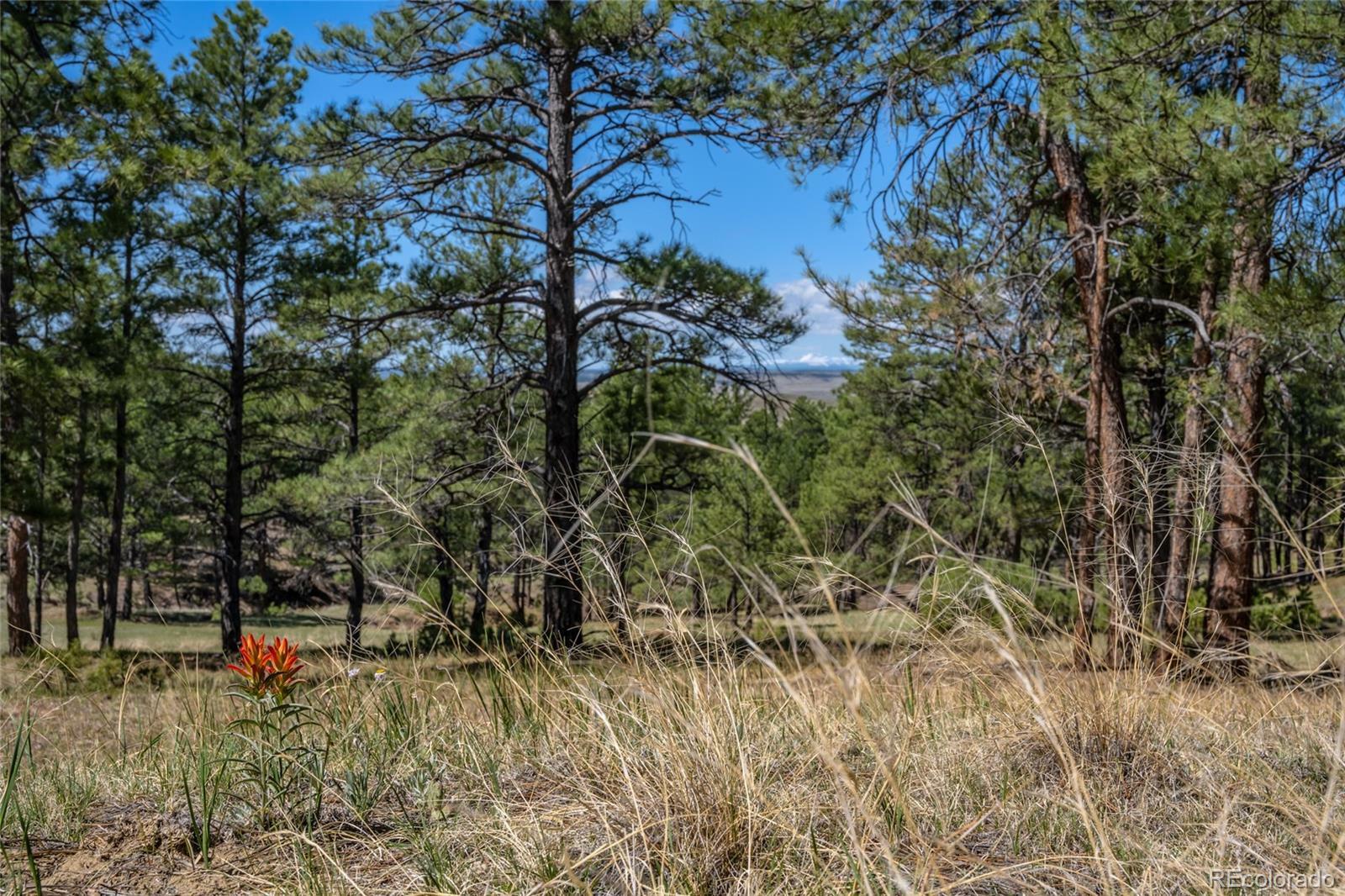 Property Photo:  Parcel 5 Onyx Trail  CO 80105 