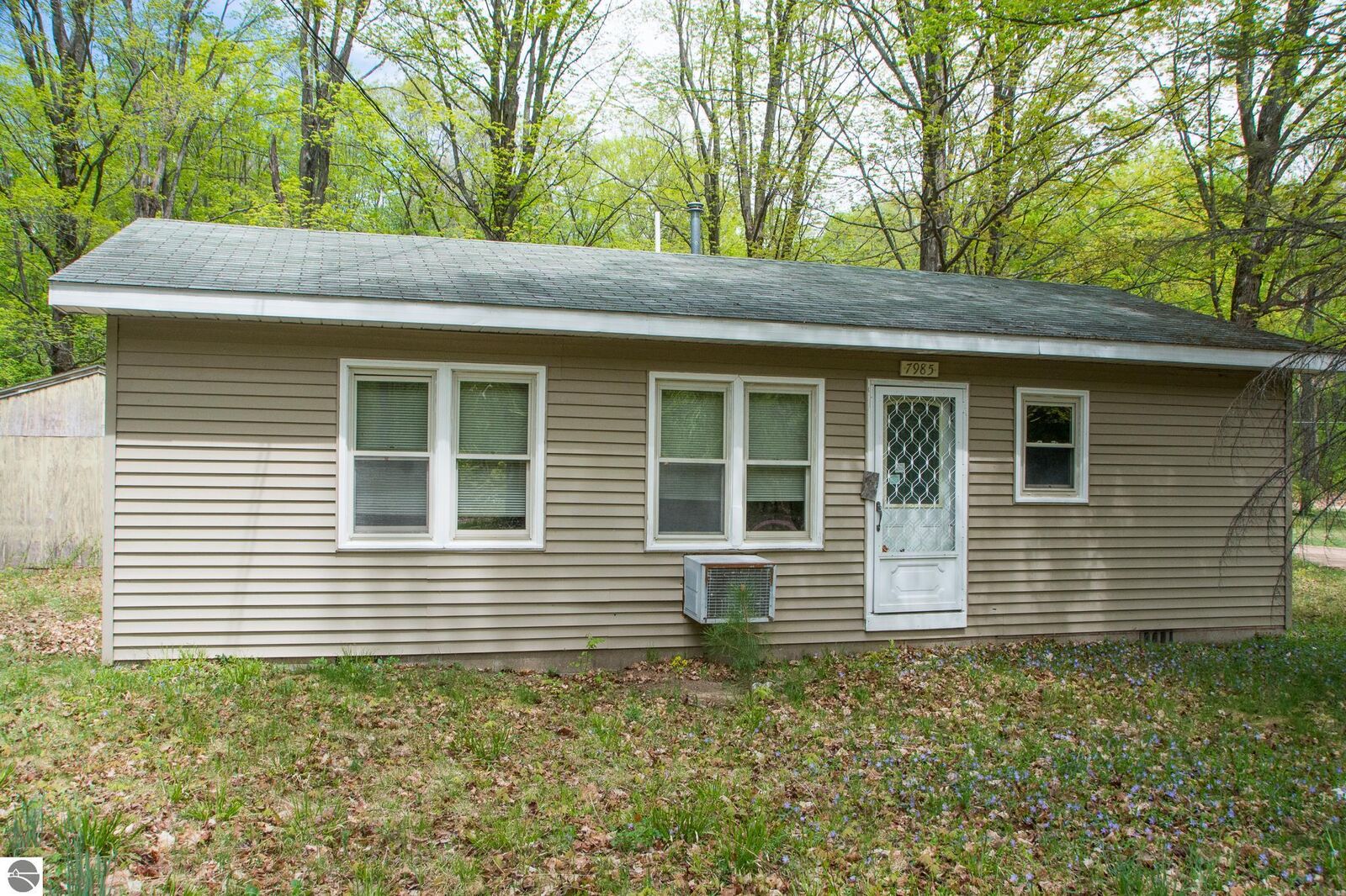 Property Photo: 7985 NE Beechnut Street MI 49646