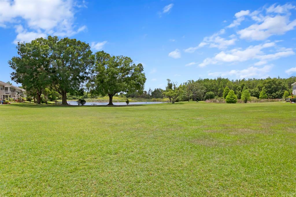 Property Photo:  2153 Park Crescent Drive  FL 34639 