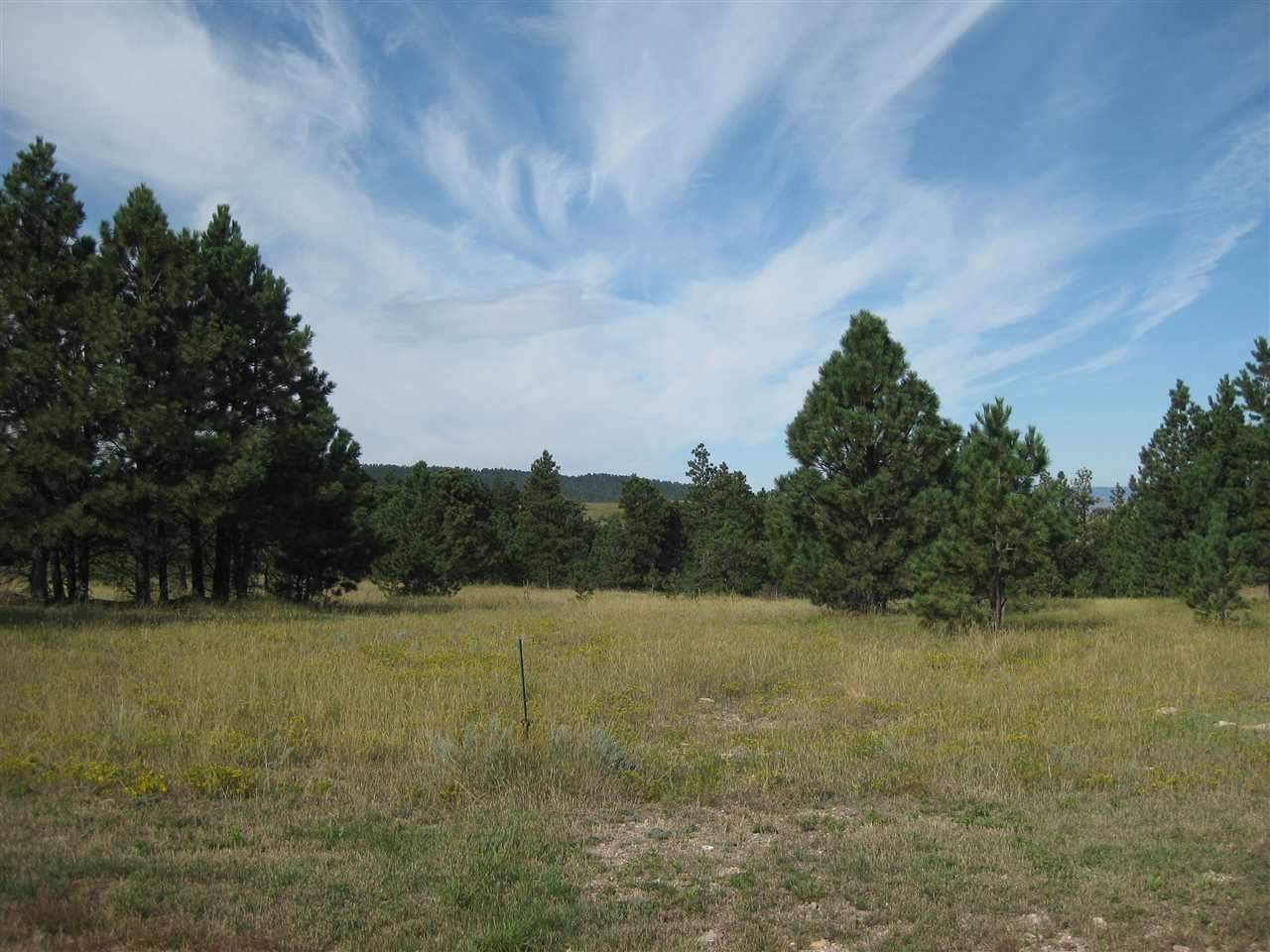 Property Photo:  Lot 16, Block 2 Gobbler Road  SD 57783 