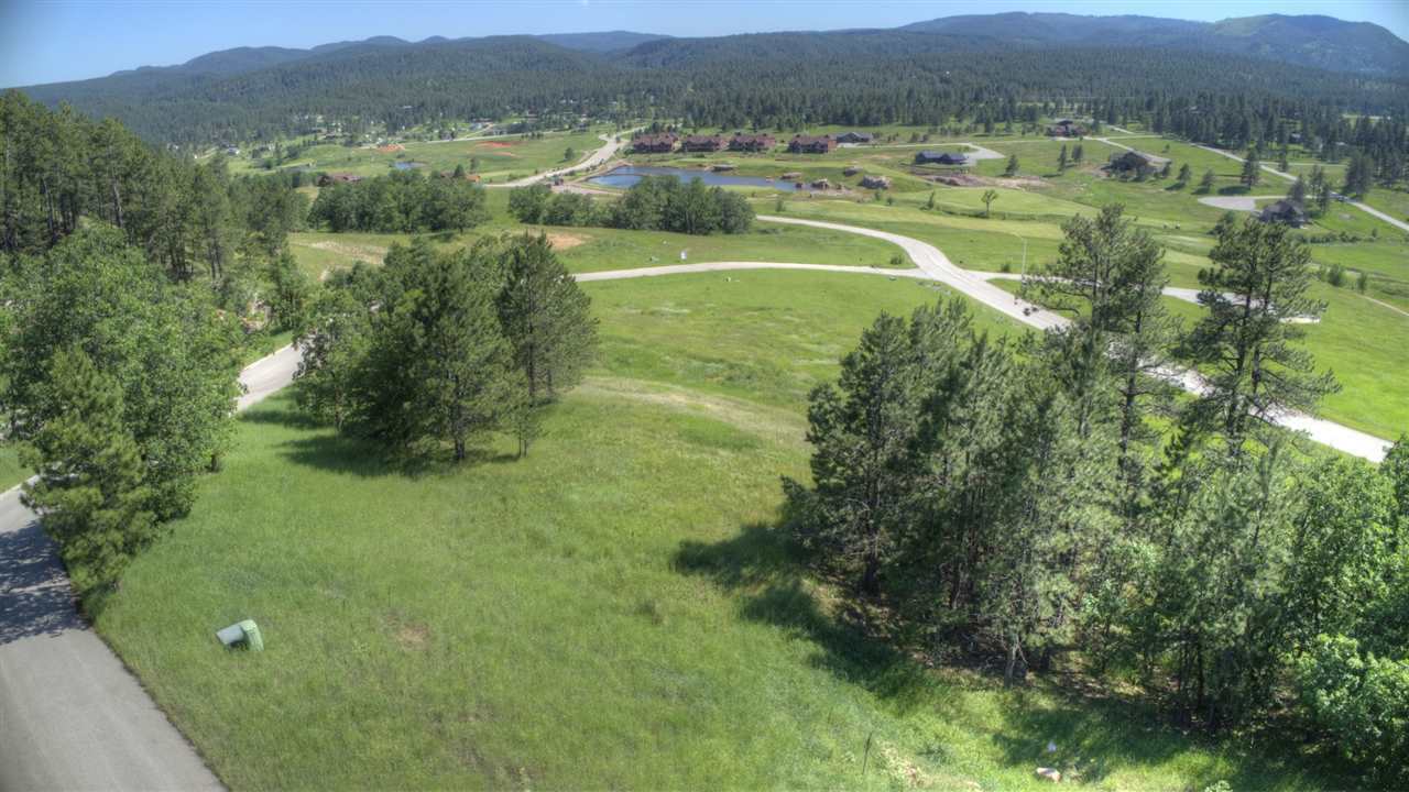 Property Photo:  Lot 17 Apple Springs Road  SD 57785 