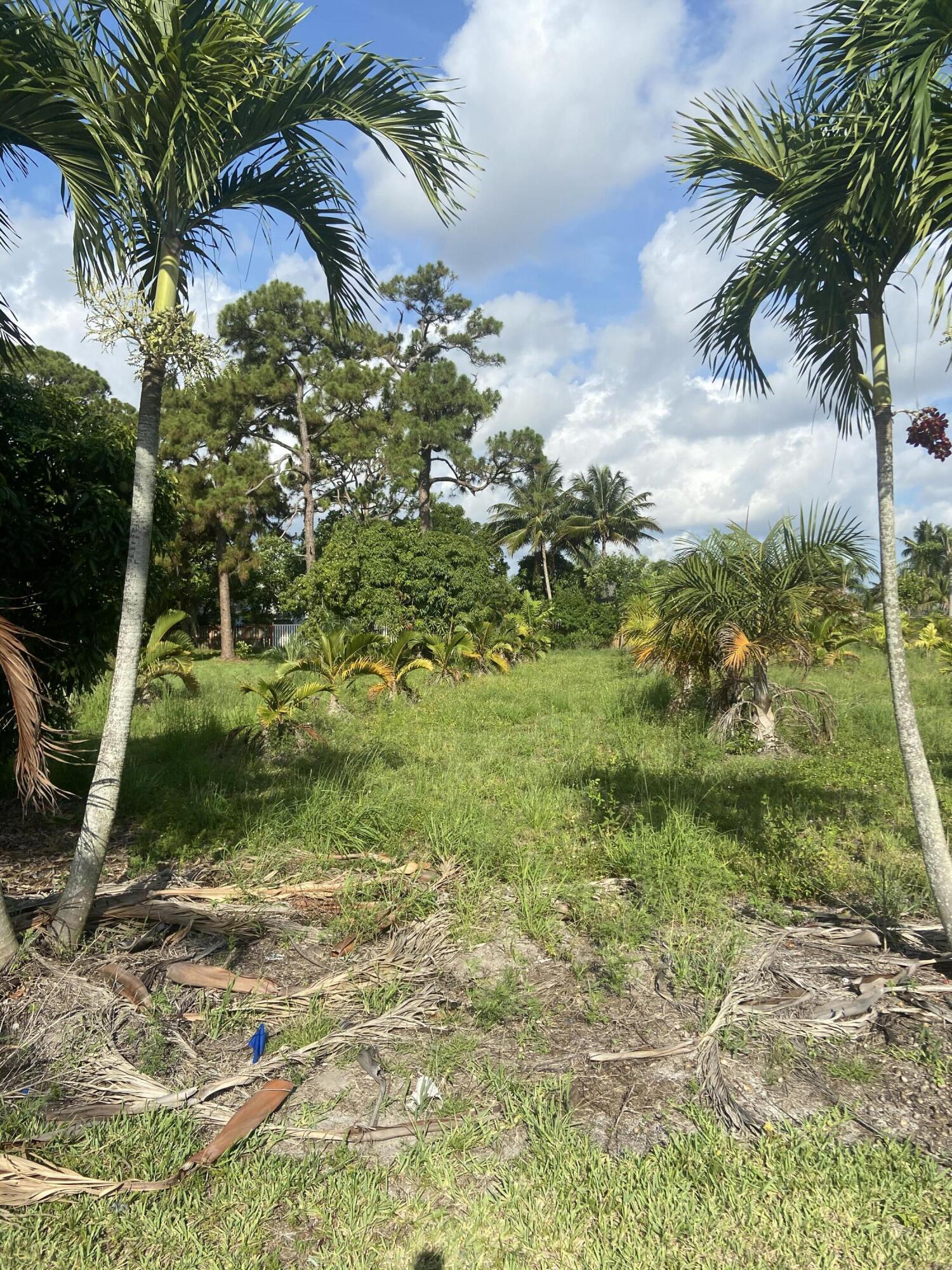 Property Photo: 5759 Midland Avenue FL 33463