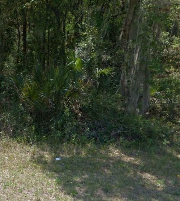 Property Photo:  0 Haas Avenue  FL 34291 