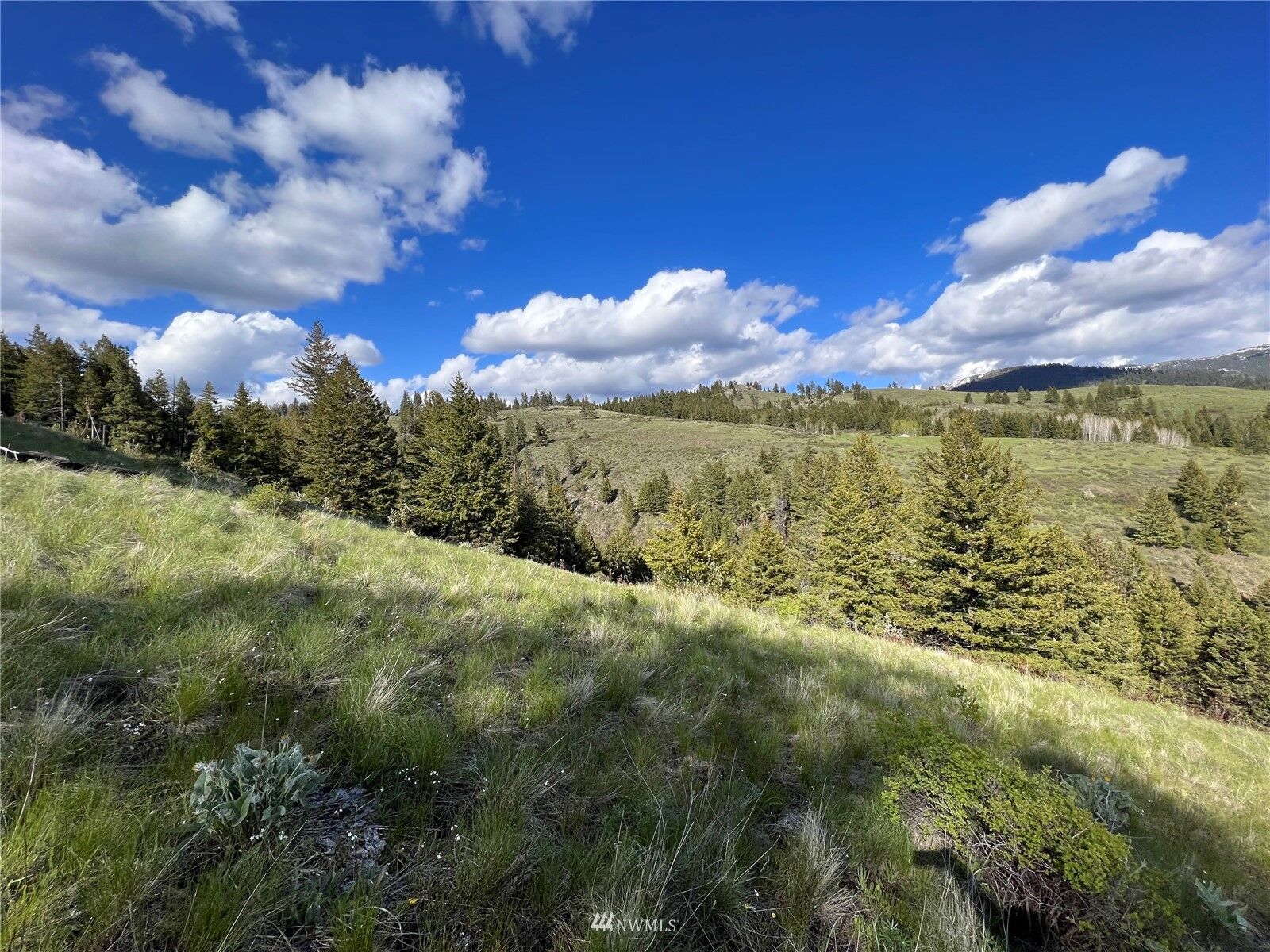 Property Photo:  0 Lot 34 Wildman Road  WA 99166 
