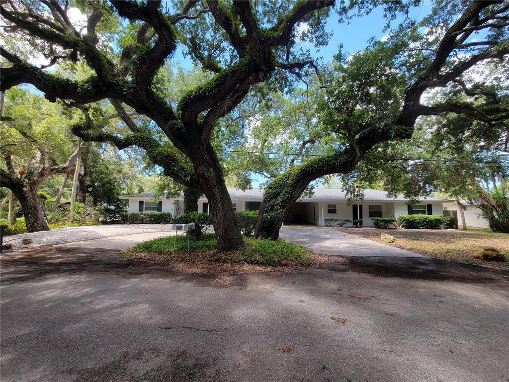 Property Photo:  6538 Peacock Road  FL 34242 