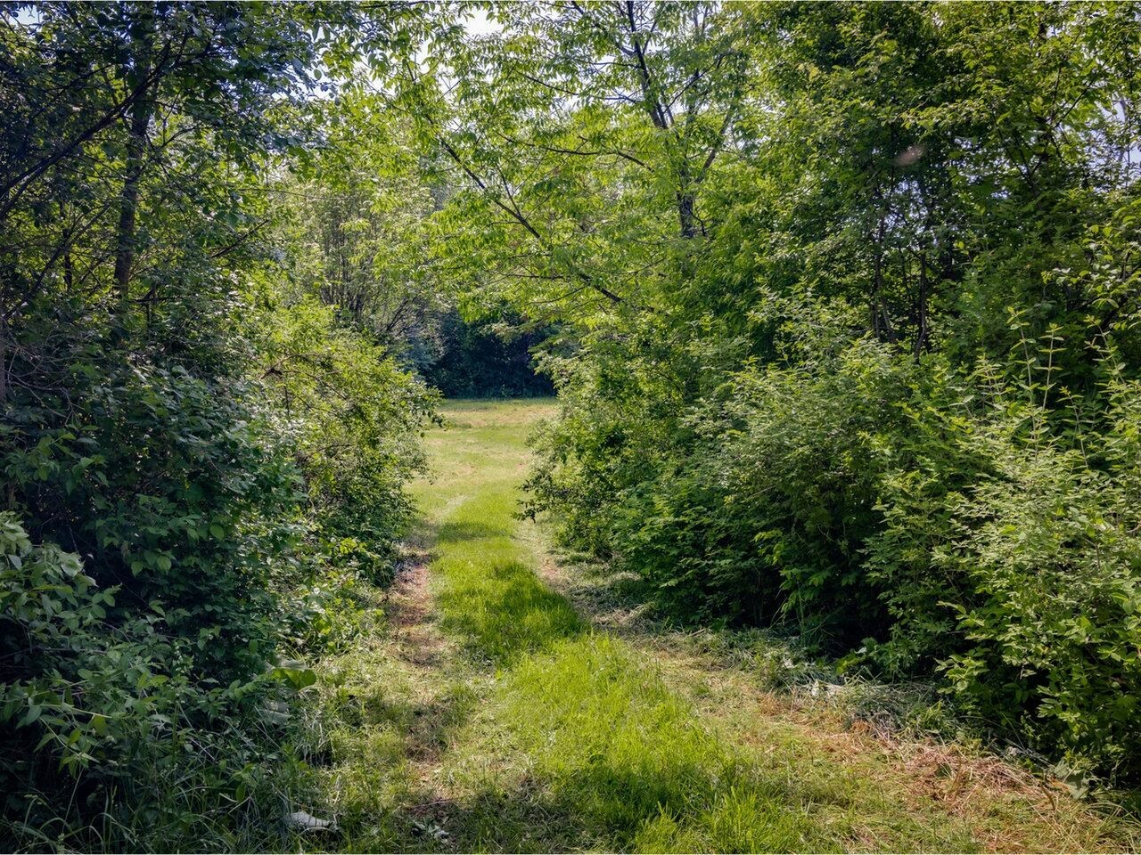 Property Photo:  970 Church Hill Road  VT 05445 