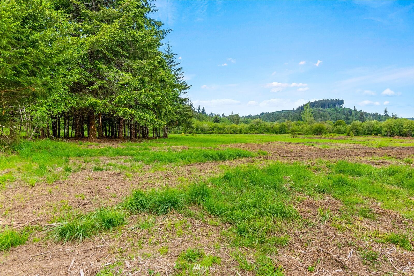 Property Photo:  0 Bunker Creek Road  WA 98522 
