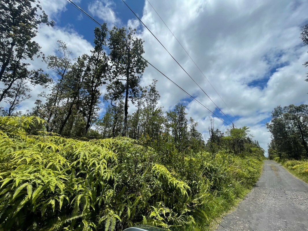 Property Photo:  Io Kea Rd (Road 4)  HI 96771 