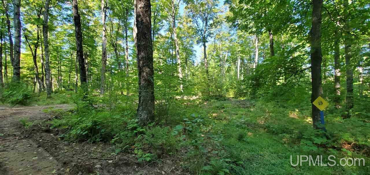 Property Photo: Tbd East Lake 13 MI 49935