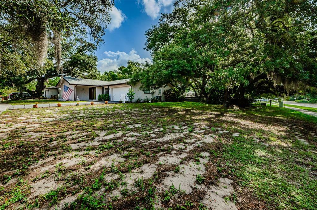 Property Photo:  1121 Gulf Oaks Drive  FL 34689 