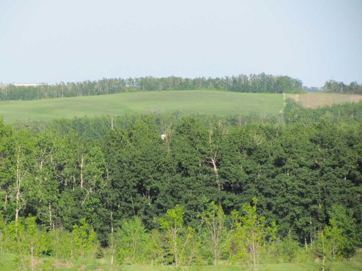 Property Photo: 420054 Range Road 283 Lot 12 AB T0C 2J0