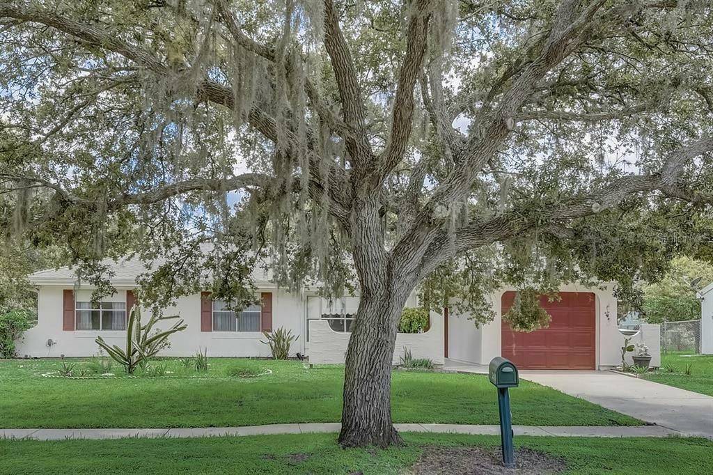 Property Photo:  4463 McKibben Drive  FL 34287 