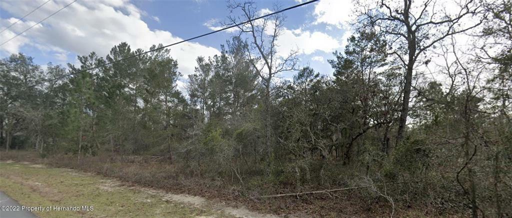 Property Photo:  13122 Painted Bunting Avenue  FL 34614 