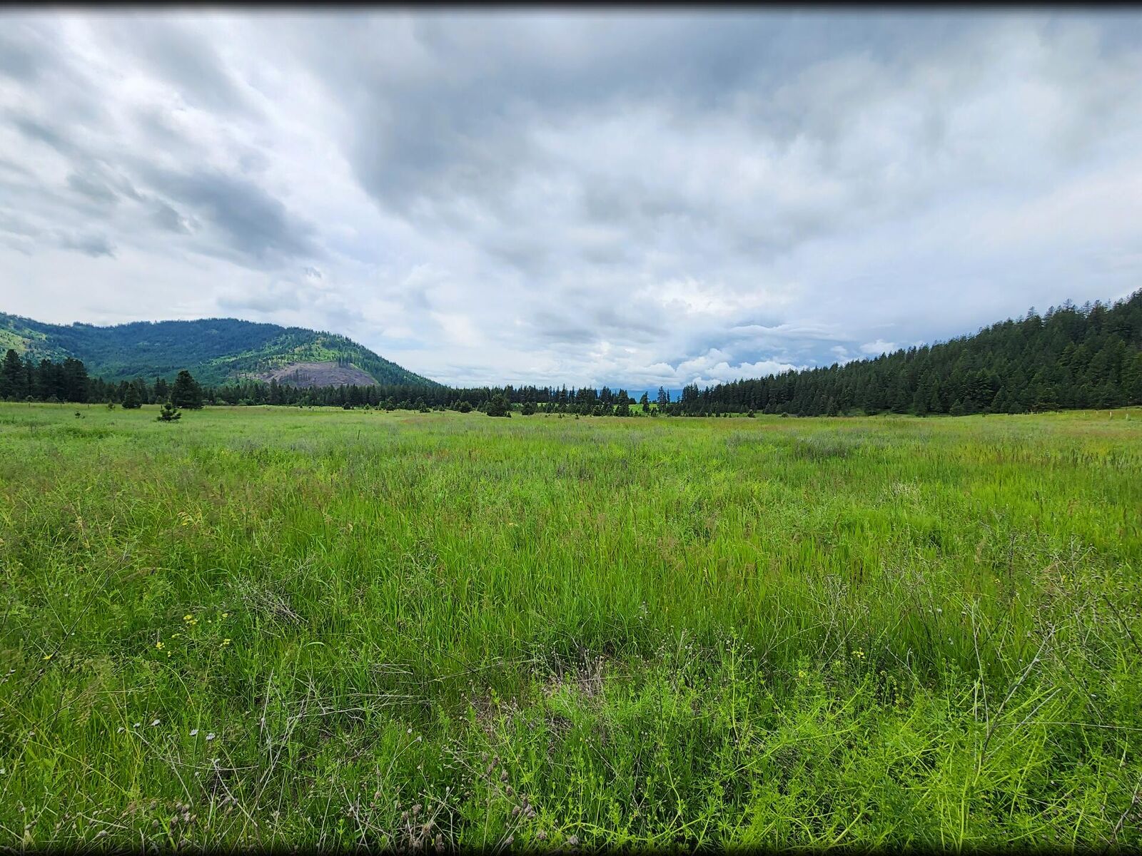 Property Photo: 1750 Tbd Orin Rice Rd WA 99167