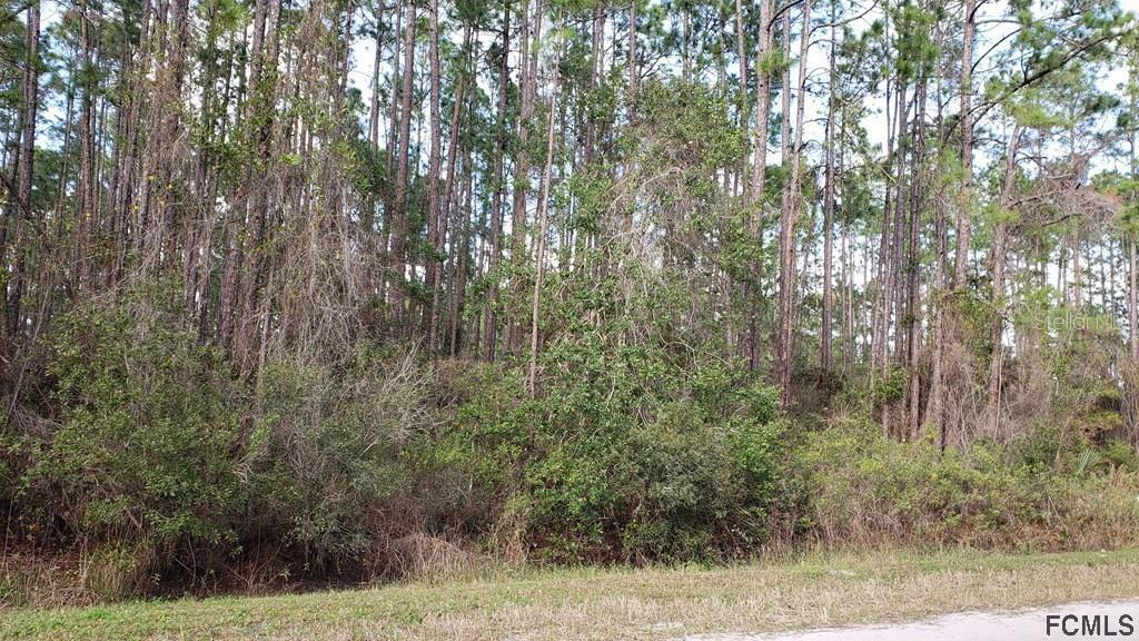 Property Photo:  5310 Lime Avenue  FL 32110 