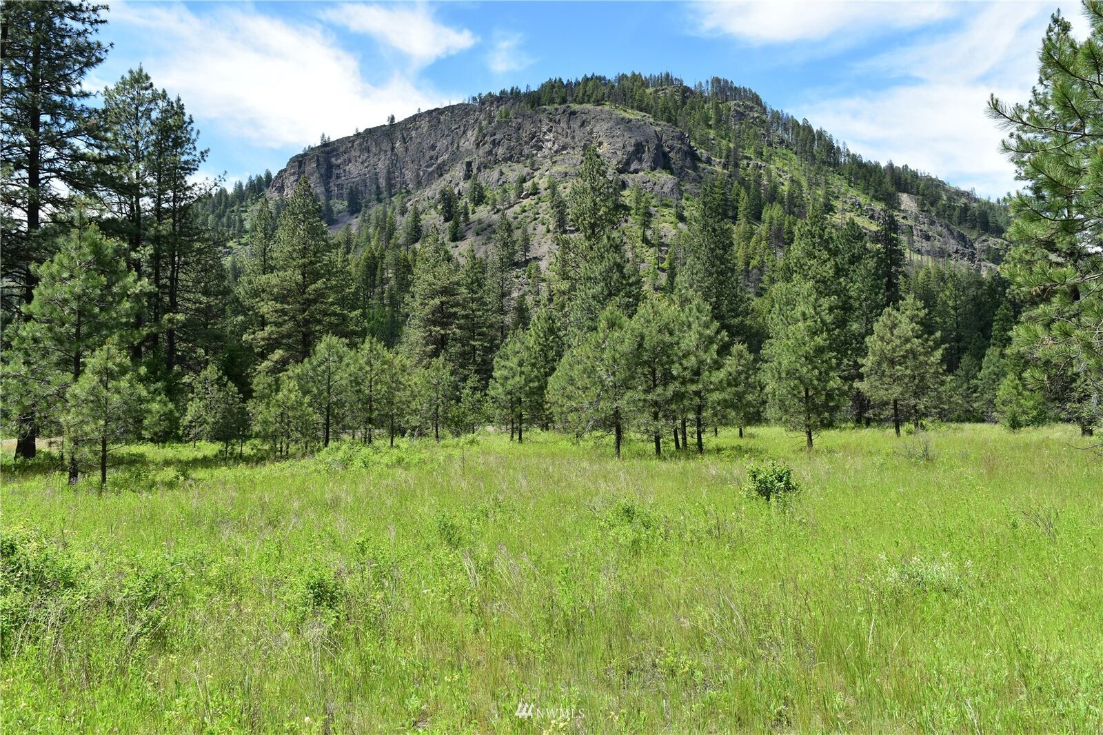 Property Photo:  14123 S Hwy 21  WA 99166 