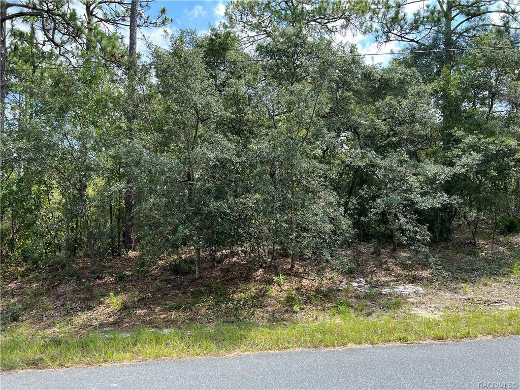 Property Photo:  9415 N Cherry Lake Drive  FL 34433 