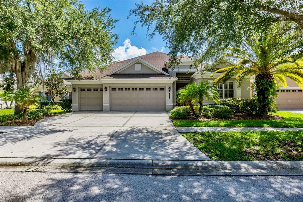 Property Photo:  20423 Walnut Grove Lane  FL 33647 