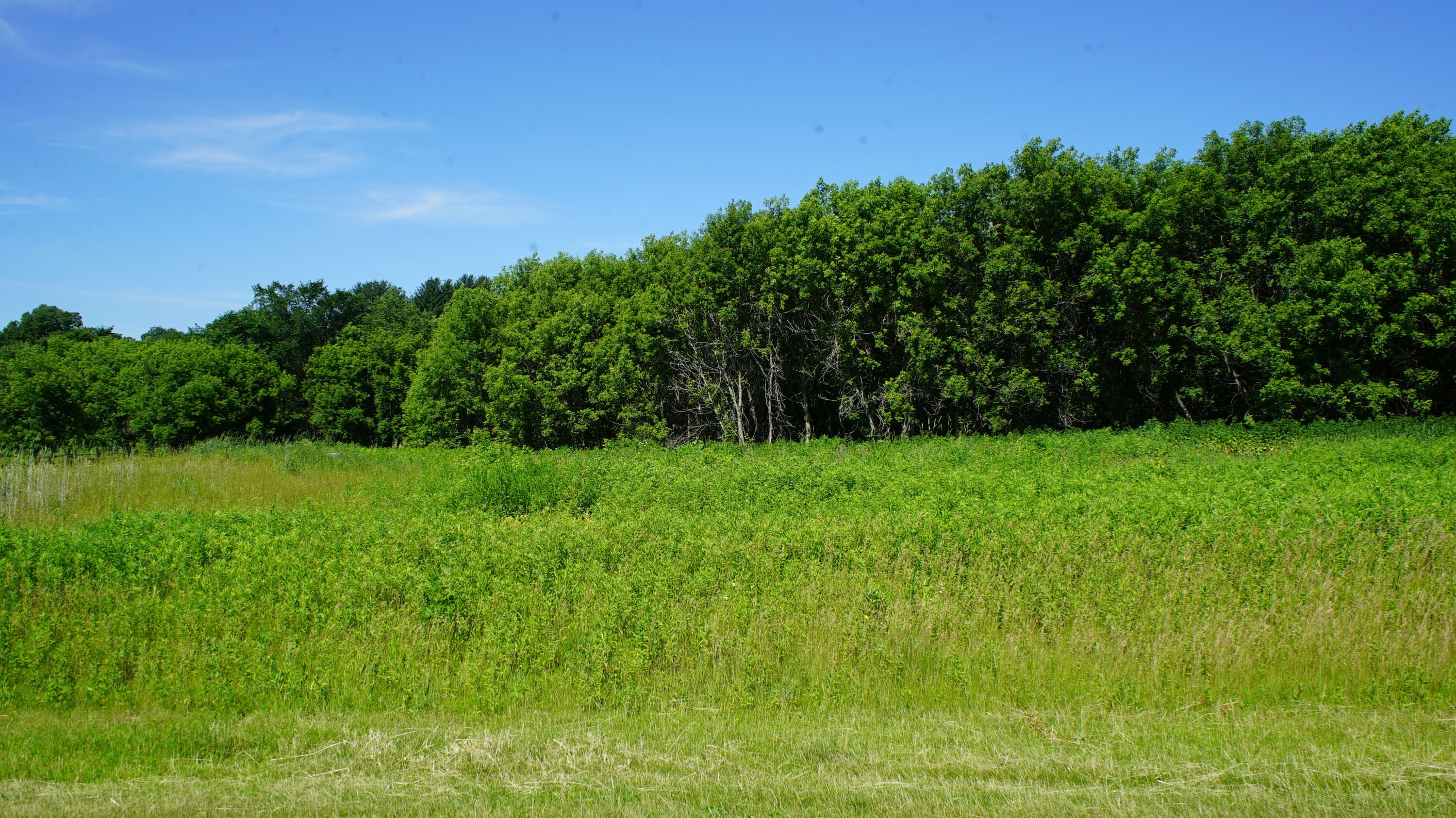 Lot 1 Jackpine Ave  Leon WI 54656 photo