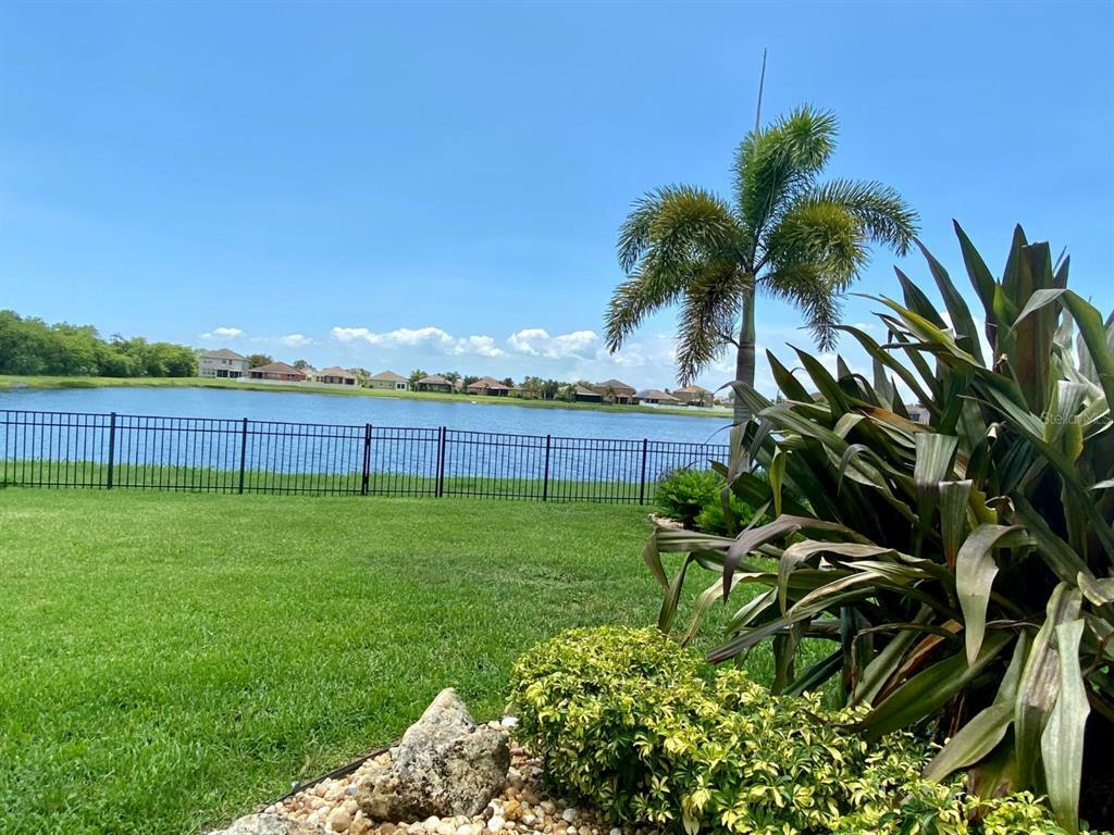 Property Photo:  710 Fern Leaf Drive  FL 33570 