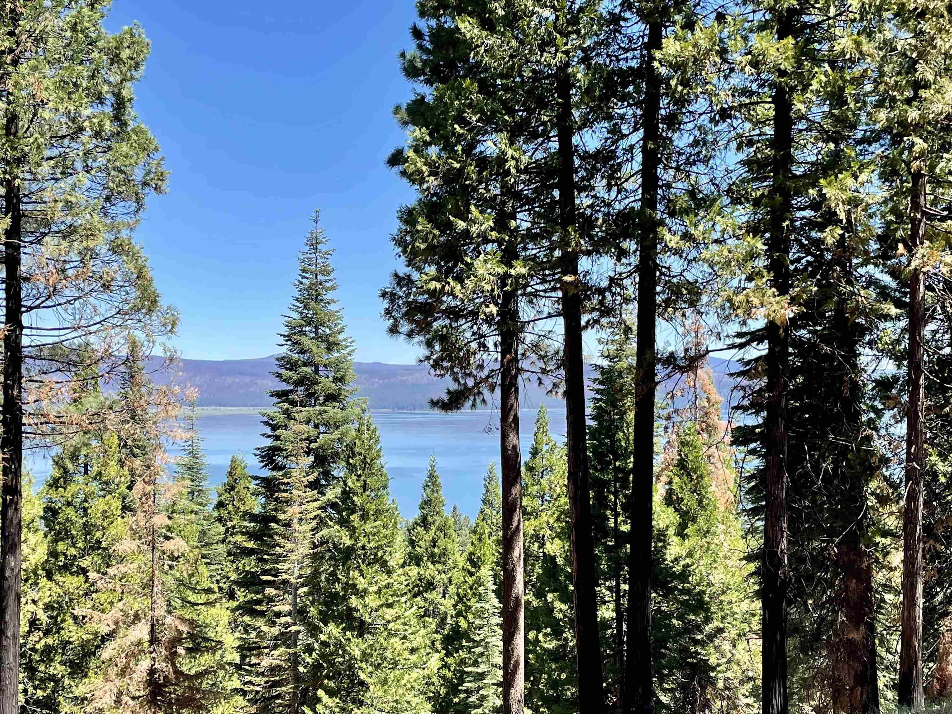Property Photo: 513 Eagle Crest Drive CA 96020
