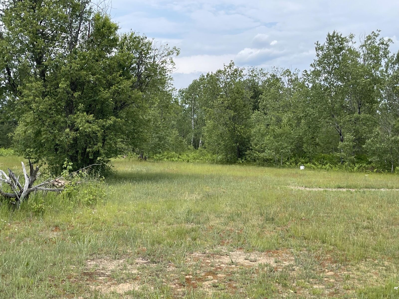 Property Photo: 5730 Old Stump Road MI 49735