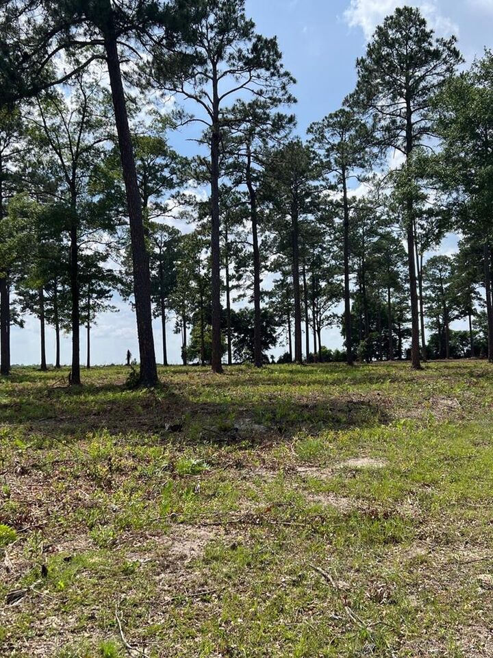Property Photo:  Lot 25 Woodlake Court  GA 31763 