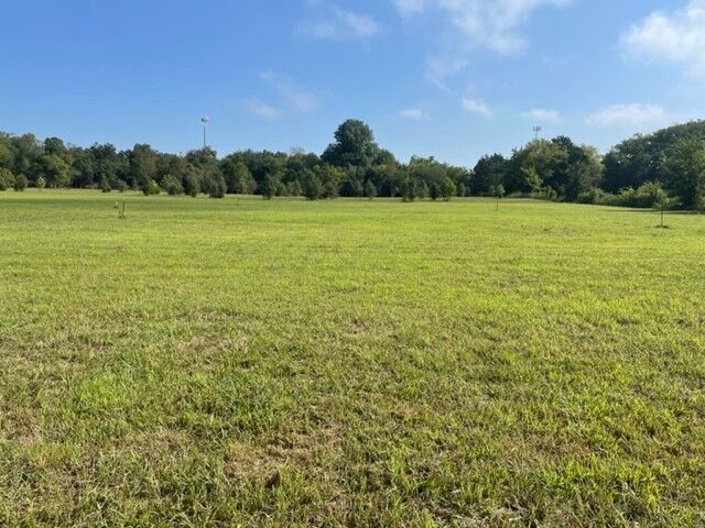Property Photo:  0 Hwy 41-A N. , Tract 1  TN 37060 