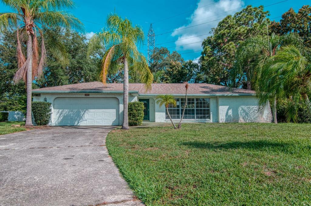 Property Photo:  3260 Buckhorn Drive  FL 33761 