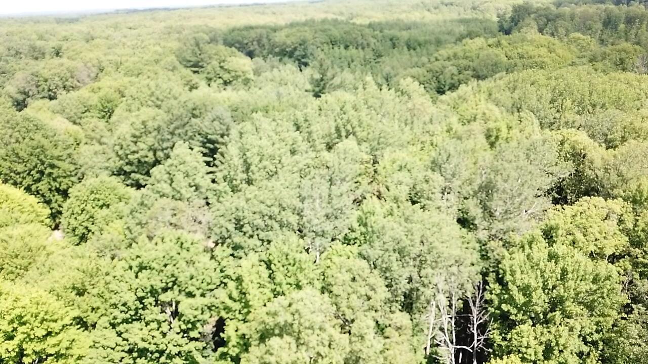 Property Photo: 20765 Jefferson Road MI 49336