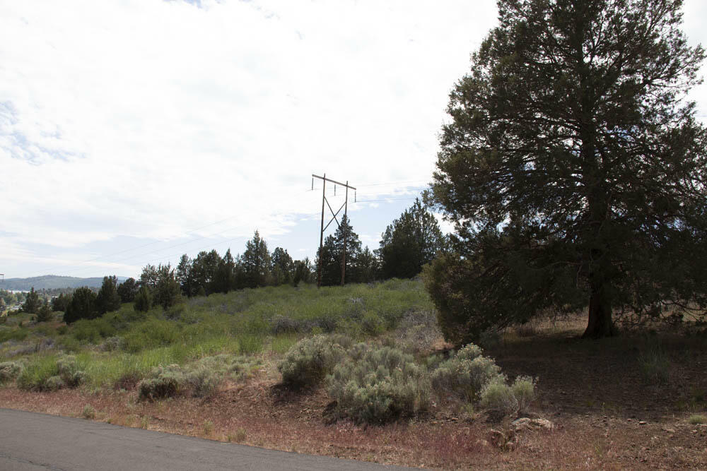 Property Photo:  Lot 81 Peregrine Heights  OR 97601 