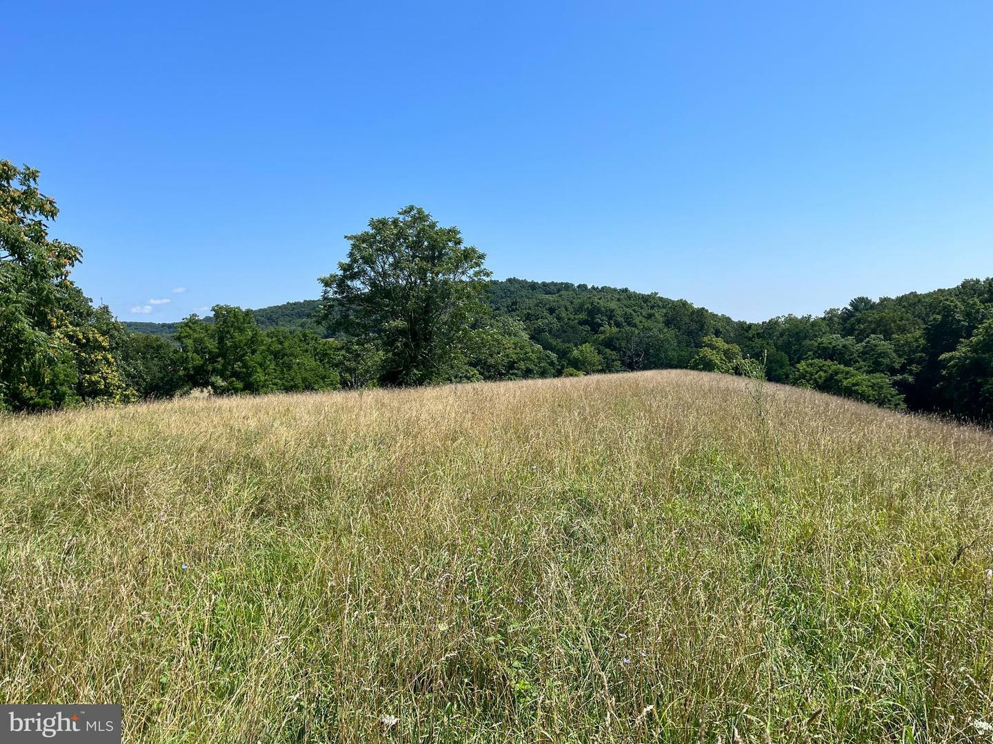 Property Photo:  Butts Mill Road  WV 25427 