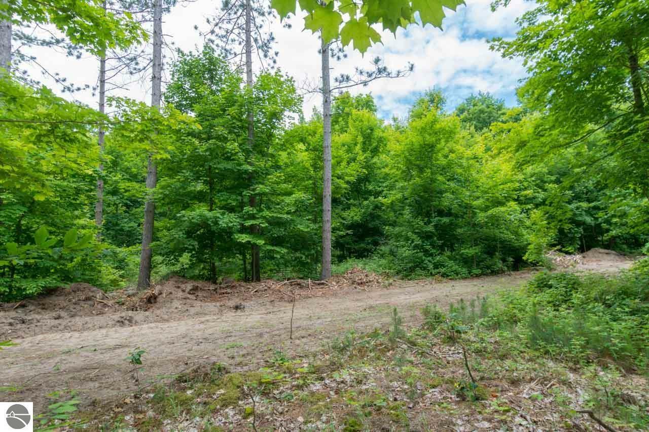 Property Photo:  Parcel 5 S Plowman Road  MI 49630 