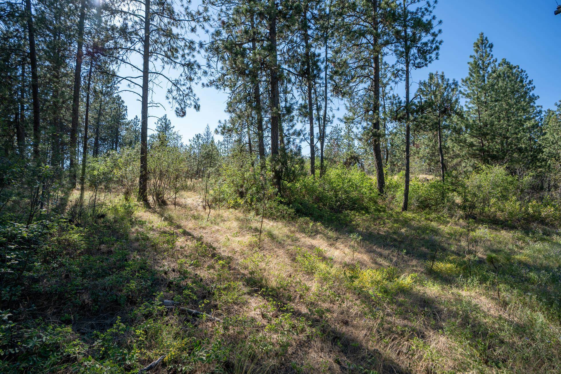 Property Photo:  3840 S Trainor Rd  WA 99224 