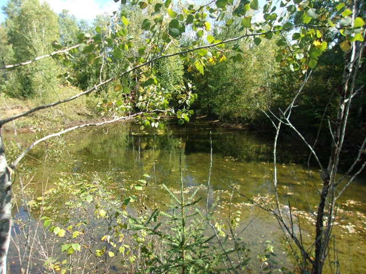 Property Photo: Off Hwy 182 WI 54552